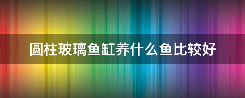 圆柱玻璃鱼缸养什么鱼比较好