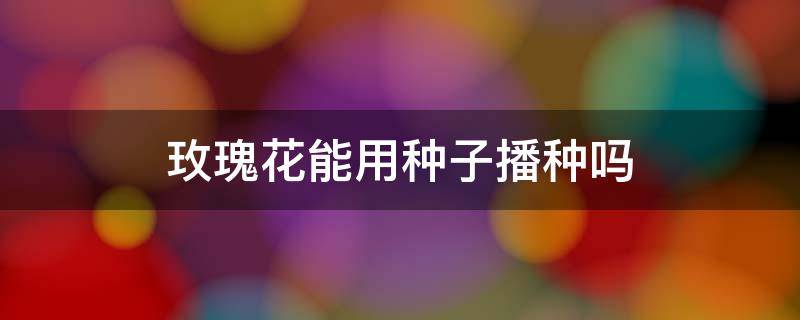 玫瑰花能用种子播种吗