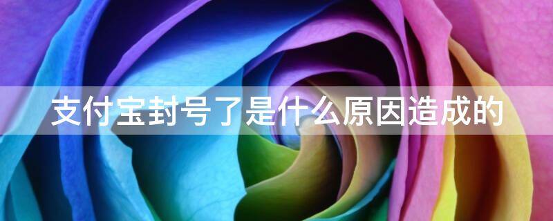 支付宝封号了是什么原因造成的