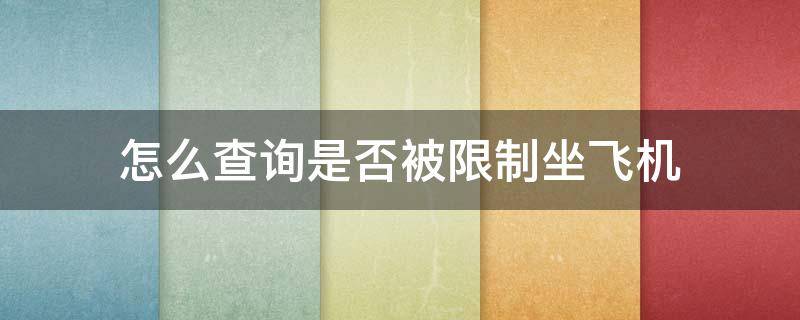 怎么查询是否被限制坐飞机