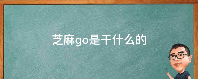 芝麻go是干什么的