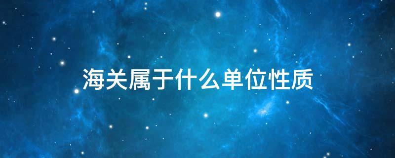 海关属于什么单位性质
