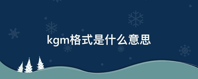 kgm格式是什么意思
