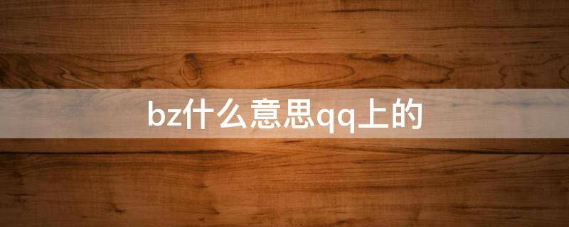 bz什么意思qq上的