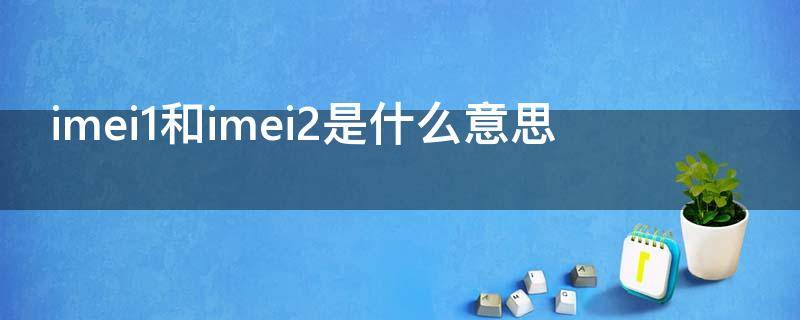 imei1和imei2是什么意思