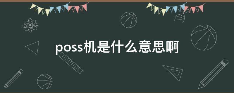 poss机是什么意思啊
