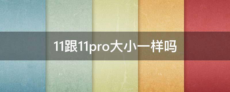 11跟11pro大小一样吗