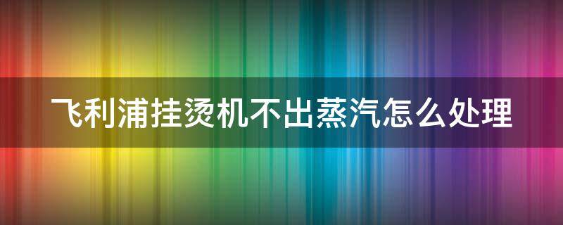 飞利浦挂烫机不出蒸汽怎么处理