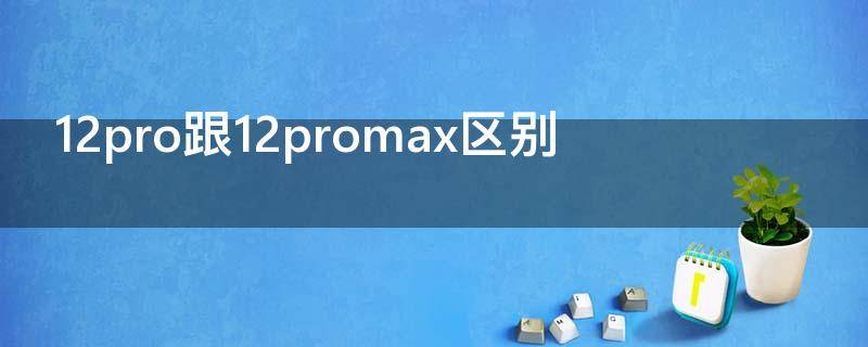 12pro跟12promax区别