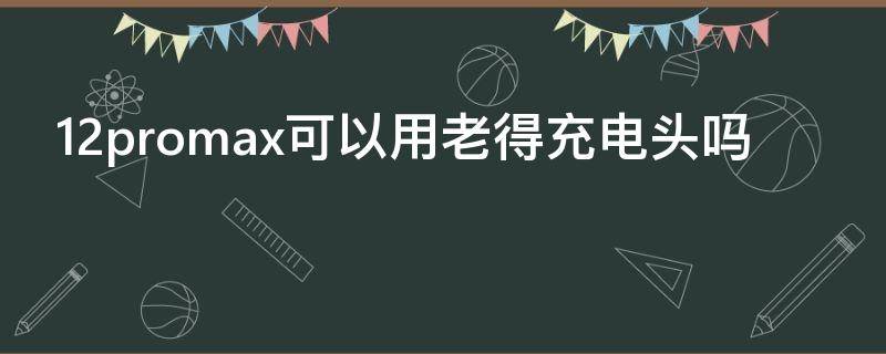 12promax可以用老得充电头吗