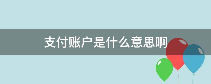 支付账户是什么意思啊