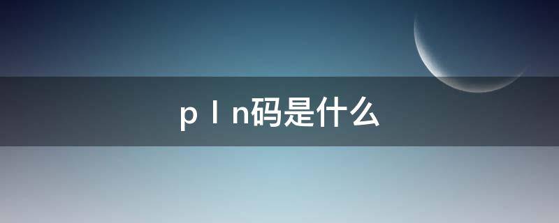 pⅠn码是什么