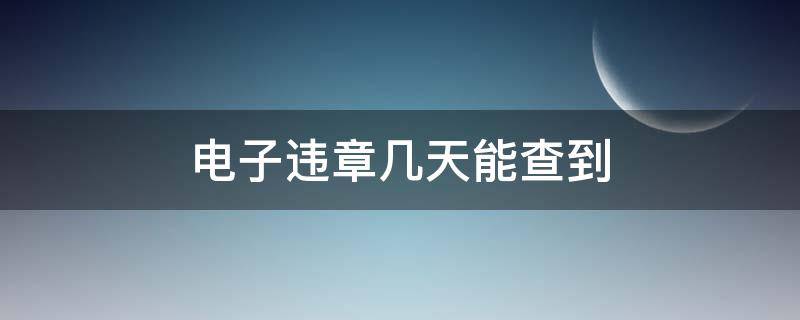 电子违章几天能查到