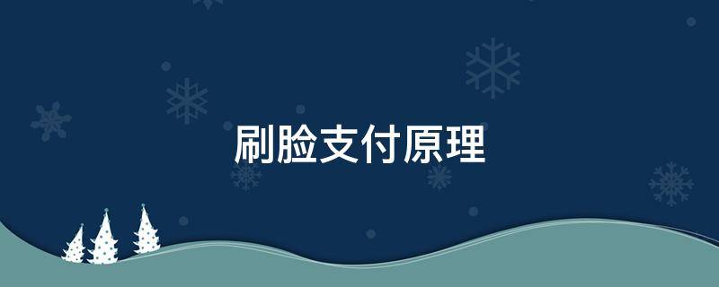刷脸支付原理