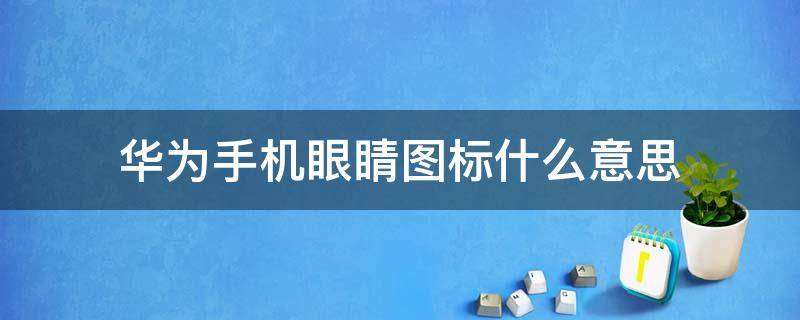 华为手机眼睛图标什么意思