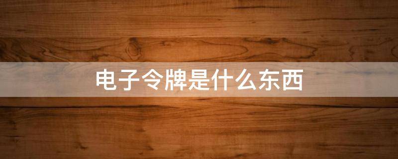电子令牌是什么东西