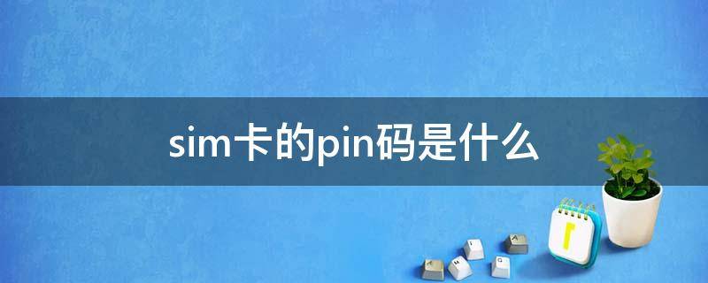 sim卡的pin码是什么