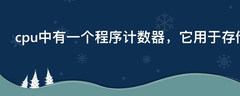 cpu中有一个程序计数器，它用于存储