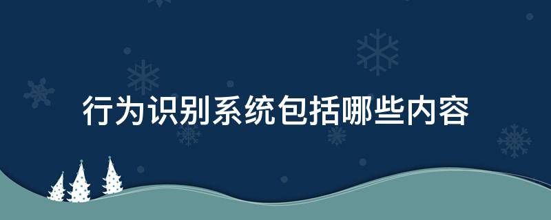 行为识别系统包括哪些内容