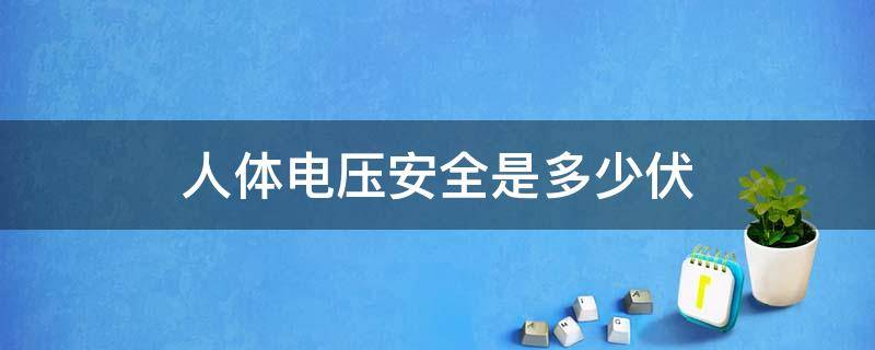 人体电压安全是多少伏