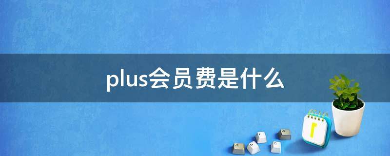 plus会员费是什么