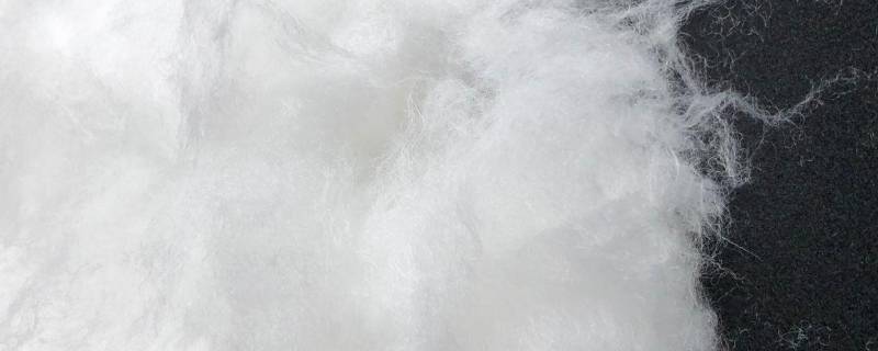 新雪丽棉是什么材质