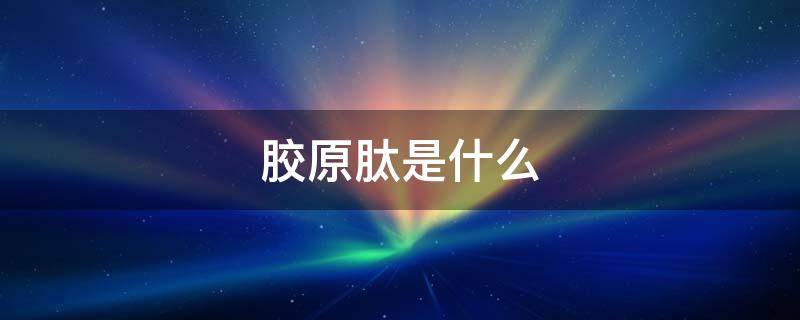 胶原肽是什么