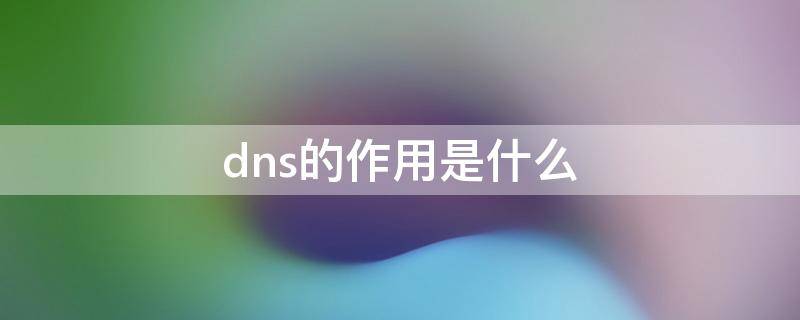 dns的作用是什么