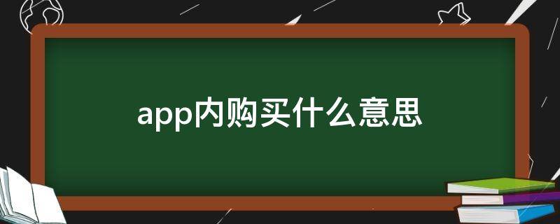 app内购买什么意思