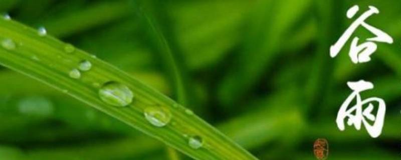 谷雨的由来