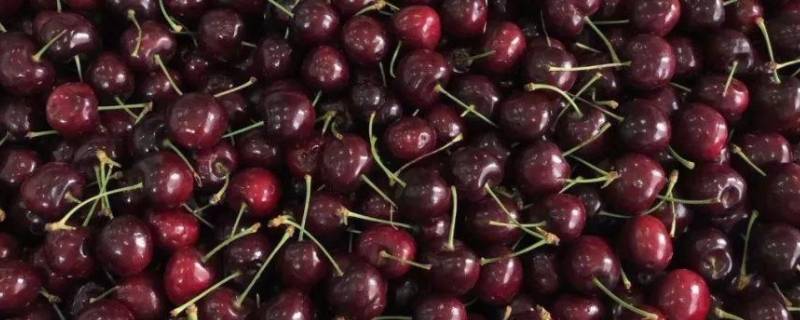 cherries车厘子是什么牌子