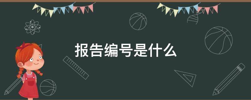 报告编号是什么
