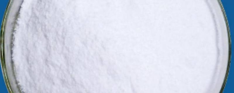 被称为半必需氨基酸的是什么