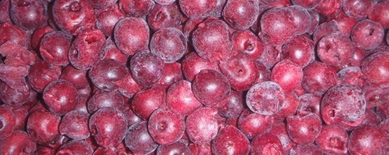 红加仑是什么水果