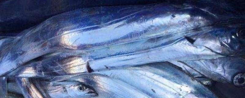 超市的包装带鱼怎么炒