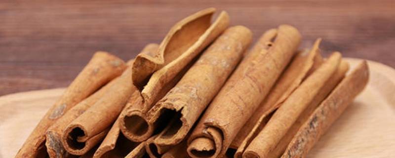 桂皮作为香料起什么作用