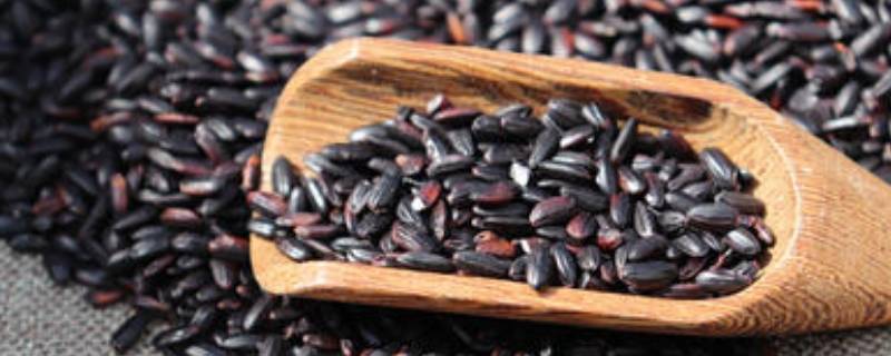 黑米没泡就直接煮了怎么办