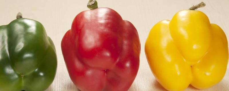 黄红辣椒怎么炒