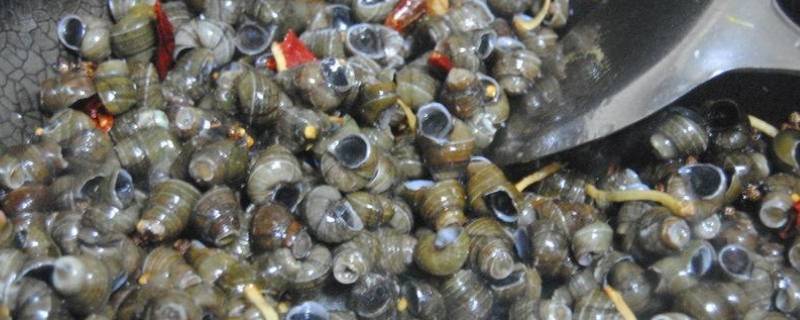 黄酒炒螺蛳怎么做