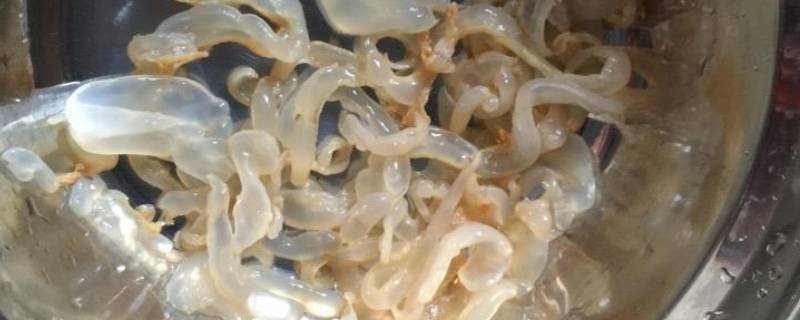 海蜇如何存放
