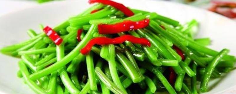 红薯竿子怎么炒