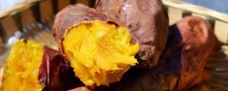 红薯发黑可以吃吗