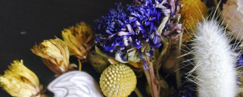干花买回来怎么处理