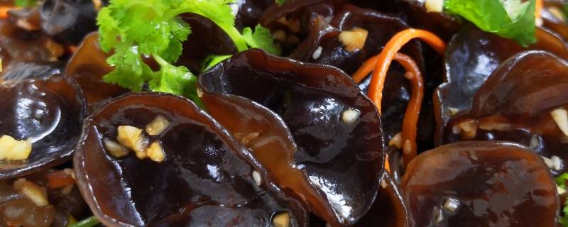 鸡炒木耳怎么煮好吃