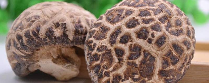 花菇怎么做好吃