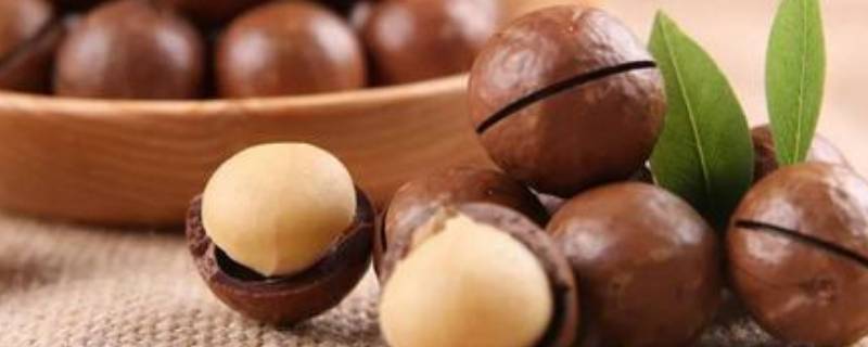 开夏威夷果的工具叫什么