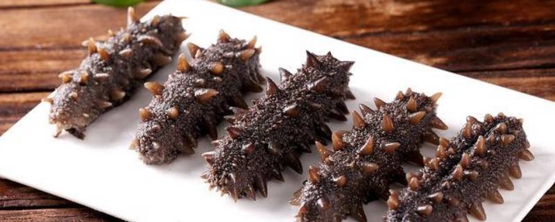 可以食用的海参