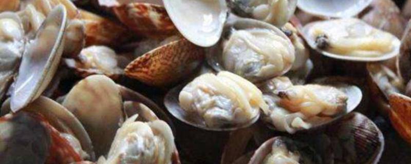 花甲怎么做没有沙子