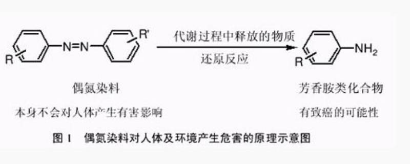 芳香胺是什么东西