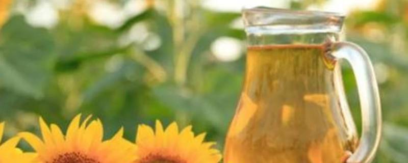 葵花籽油怎么用